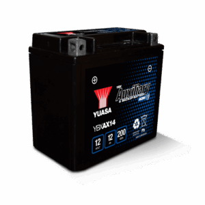 battery image YBXAX14 1005x1024.x72325.png